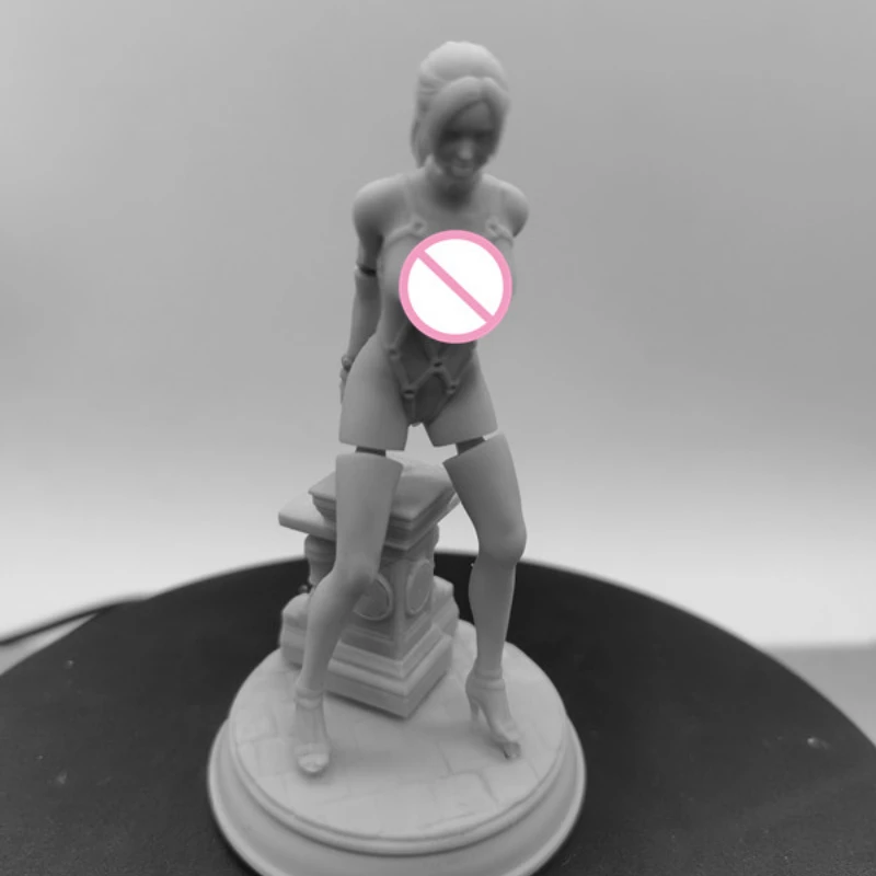 1/24  ̴Ͼó   ŰƮ,    ̵ ǱԾ 峭,  DIY  ǱԾ