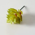 1Pcs-29