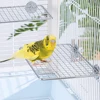 1pc Versatile Stainless Steel Parrot Perch Toy Durable & Washable Bird Resting Stand Platform for Pet Bird Parrot Cages Supplies 1