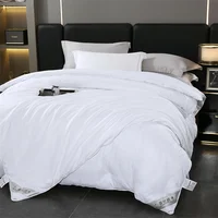 Natural Mulberry Silk Duvet Luxury Queen King Size Comforter Summer Winter Quilt Single Couple Bedding Filler Bedding 1