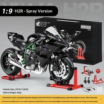 Ninja H2R Model Bike 1