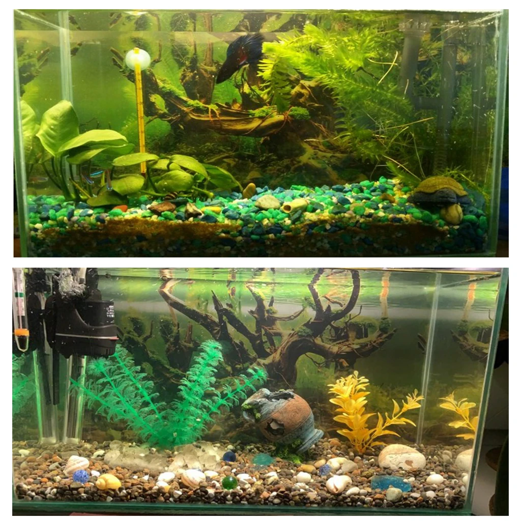 Freshwater Fish Tank Backgrounds