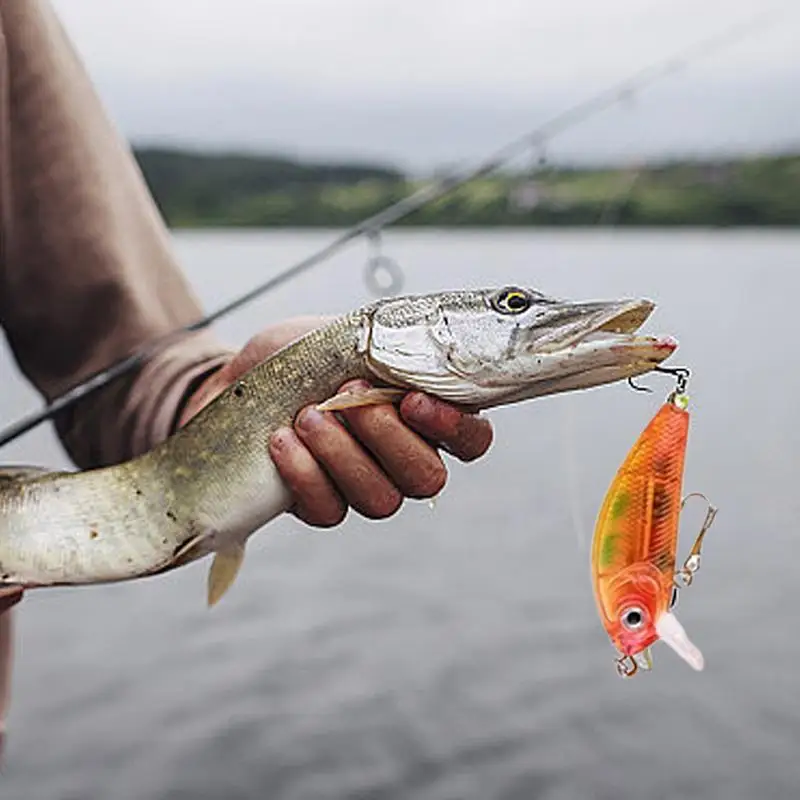 Christmas Advent Calendar Fishing Advent Calendar Christmas Countdown Calendar 24 Days Christmas Advent Calendar Fishing Fish Bait for Gifts