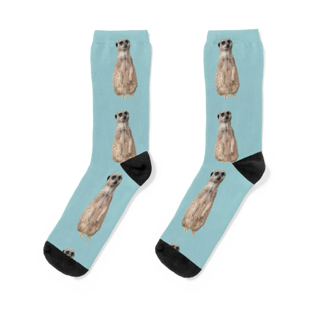 

Meerkat - Cute meerkat watching the view -Blue background Socks tennis Climbing Men Socks Women's