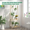 Plant StemClimbing Rack Plant Trellis Garden Support Stake Stand Vine Growth Flower Rattan-Climbing Rack Garden Supplies 2