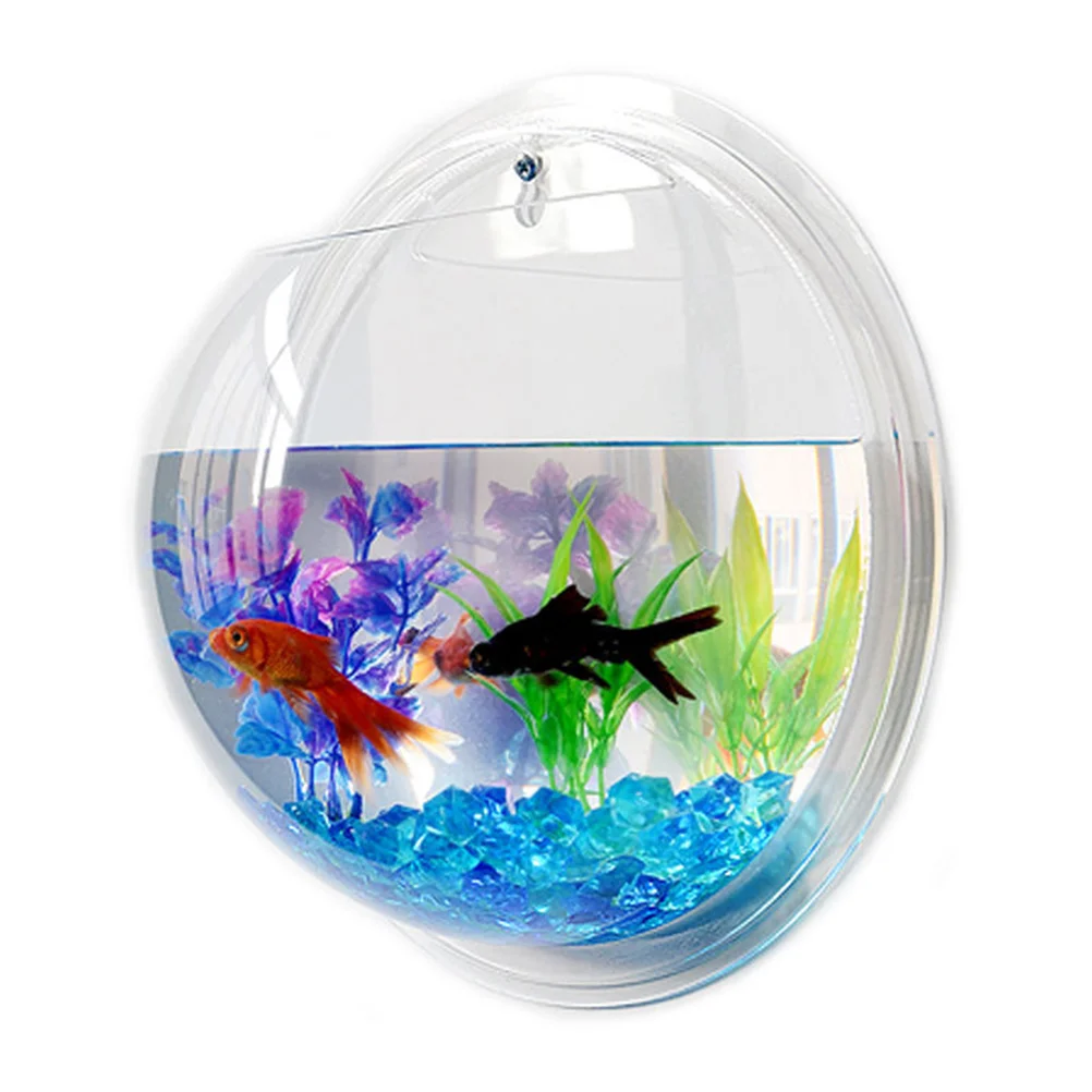 Sphere Aquarium Glass Bowl Fish Tank Airplants Mini Fishbowl Fish Bowls