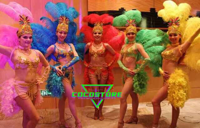 Samba Costume Brazilian Costume Carnival Brazilian Dancer Feather
