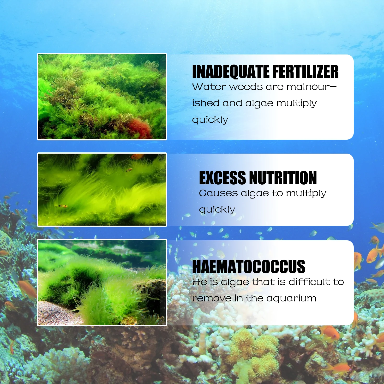 Aquarium Algae Cleaner Tablets for Fish Tanks, Ponds, Remove Moss, Green Water, Prevent Algae Growth, Copper Oxide Formula, Acti
