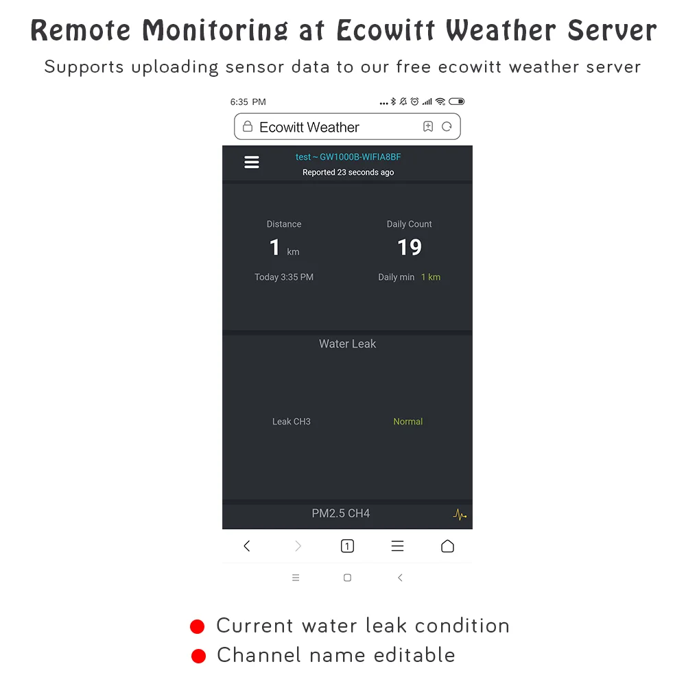 Ecowitt WH55 Multi-channel Wireless Water Leak Detection Sensor with Loud Audio Alarm, Accessories Only, Cannot Be Used Alone