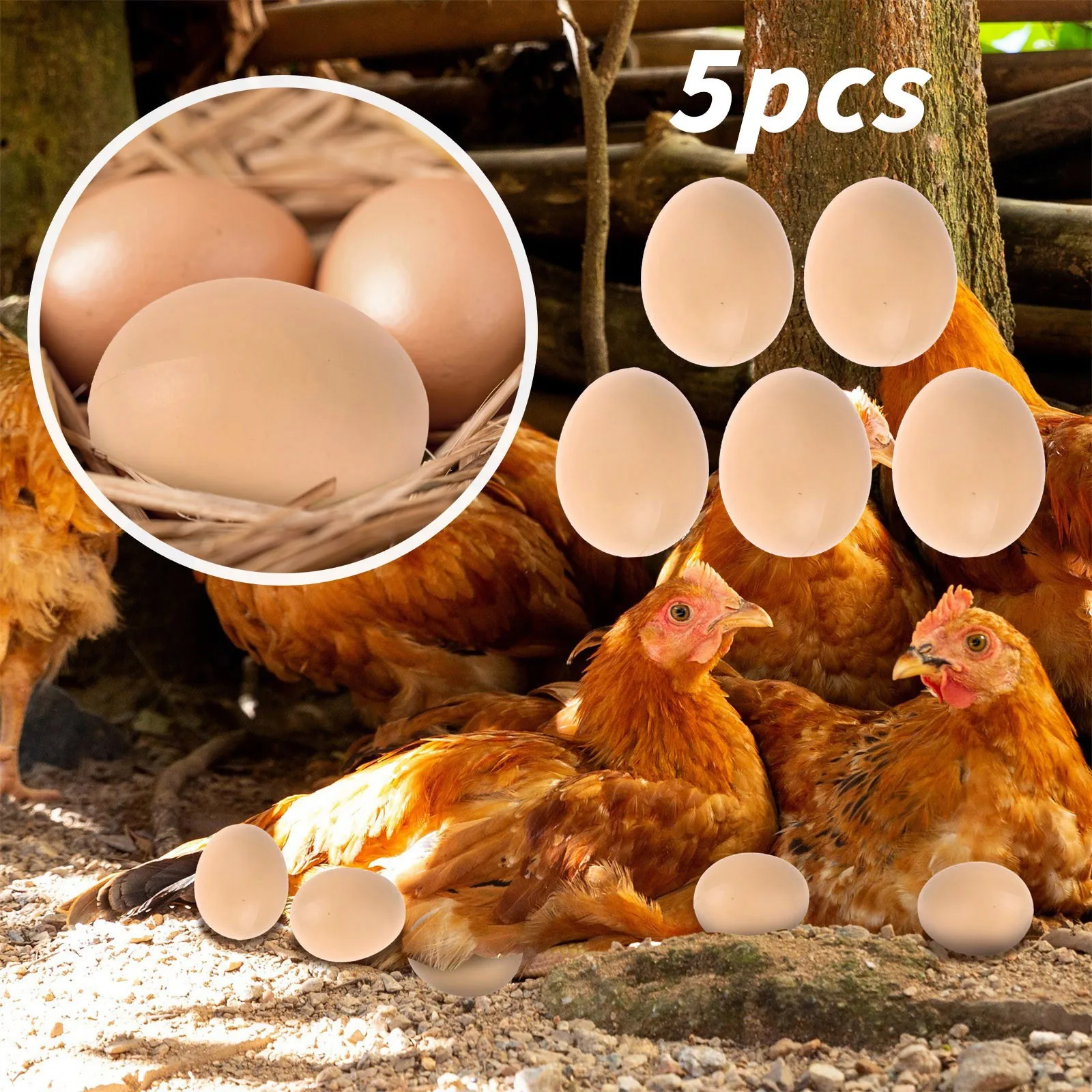 

Building for Kids Ages 2-4 Oeufs Poule Faux Aide Oeufs 5 PCS Mannequin Pondre Education Let's Go Poles