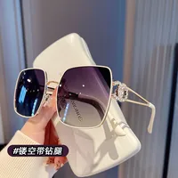 2025 New Fashion Sunglasses Women Polarized Vintage Oversized Sun Glasses for Women Trend Eyeglasses Outdoor Eyewear Uv400