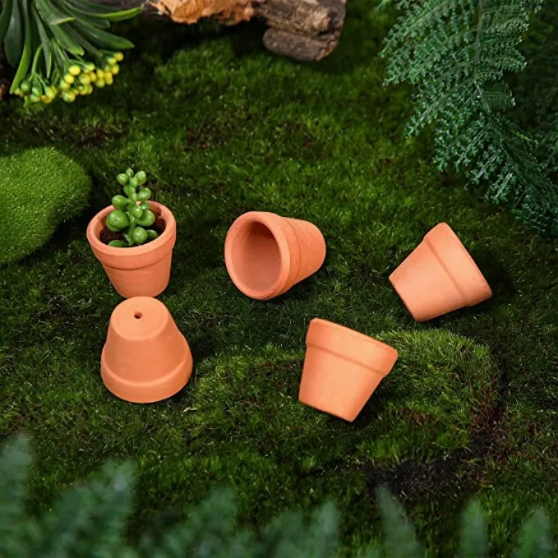 12 Mini Vasi In Terracotta 3x3 Cm – Argilla Rossa – Per Cactus, Pi Grasse E Bomboniere