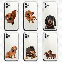 

Cute Dog Dachshund Phone Case Clear for iphone 13 12 11 Pro max mini XS 8 7 Plus X SE 2020 XR cover
