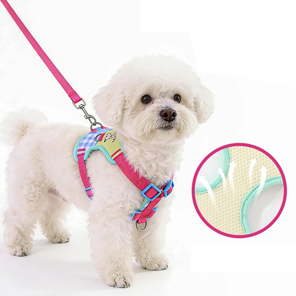 Adjustable Dog Harness And Leash Set For Small Dogs Walking_voghion.com