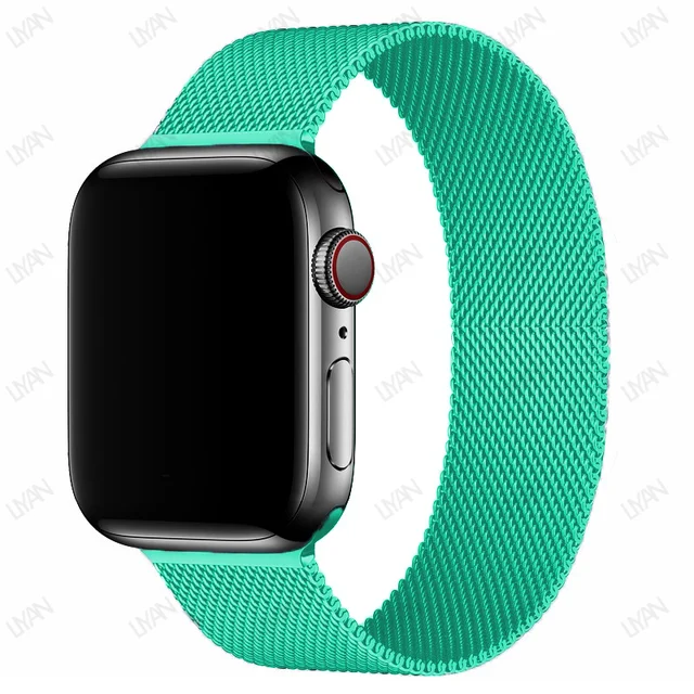 Magnetic Loop Strap For Apple watch Band 45mm 41mm 44mm 40mm 42mm 38mm Stainless steel correa bracelet iWatch serie 3 7 5 6 se 3 spearmint 20
