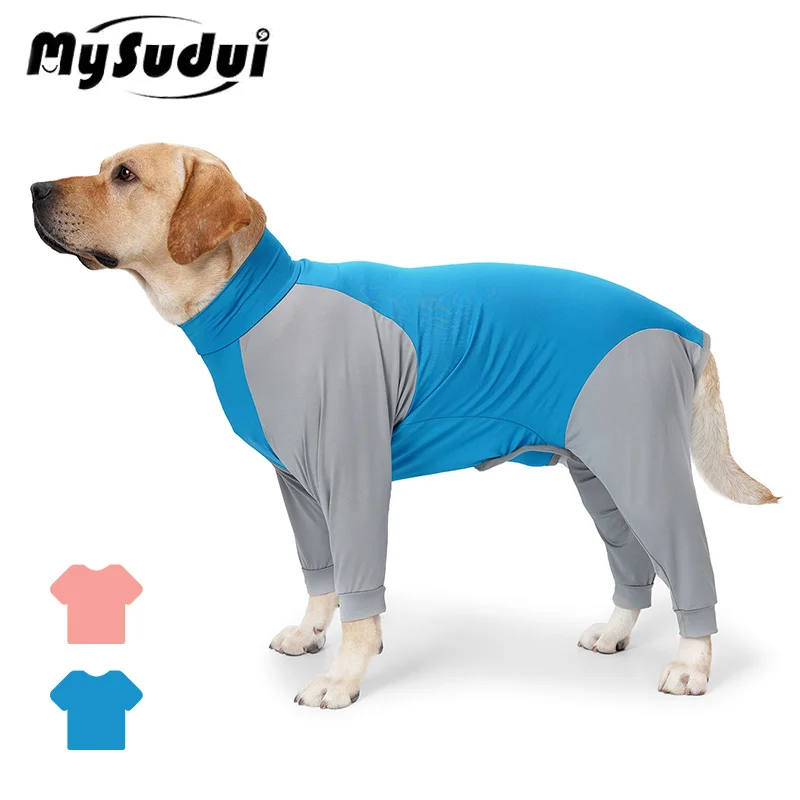 Why Do Dogs Like To Sleep In Corners