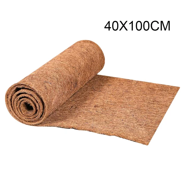 40x100cm