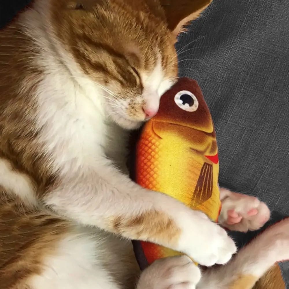 

Плюшевая имитация рыбы, кошка, игрушка, Реалистичная мягкая кошка, рыба, плюшевая набивная Подушка, устойчивая к укусам, имитация кошки, рыба, игрушка для игры