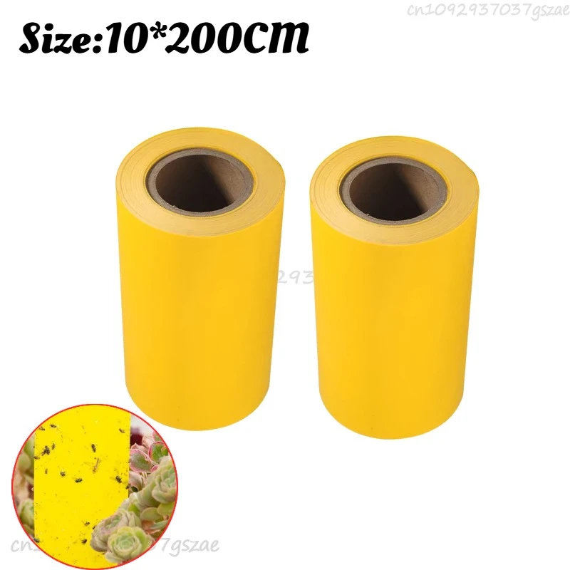 2Rolls (4M)