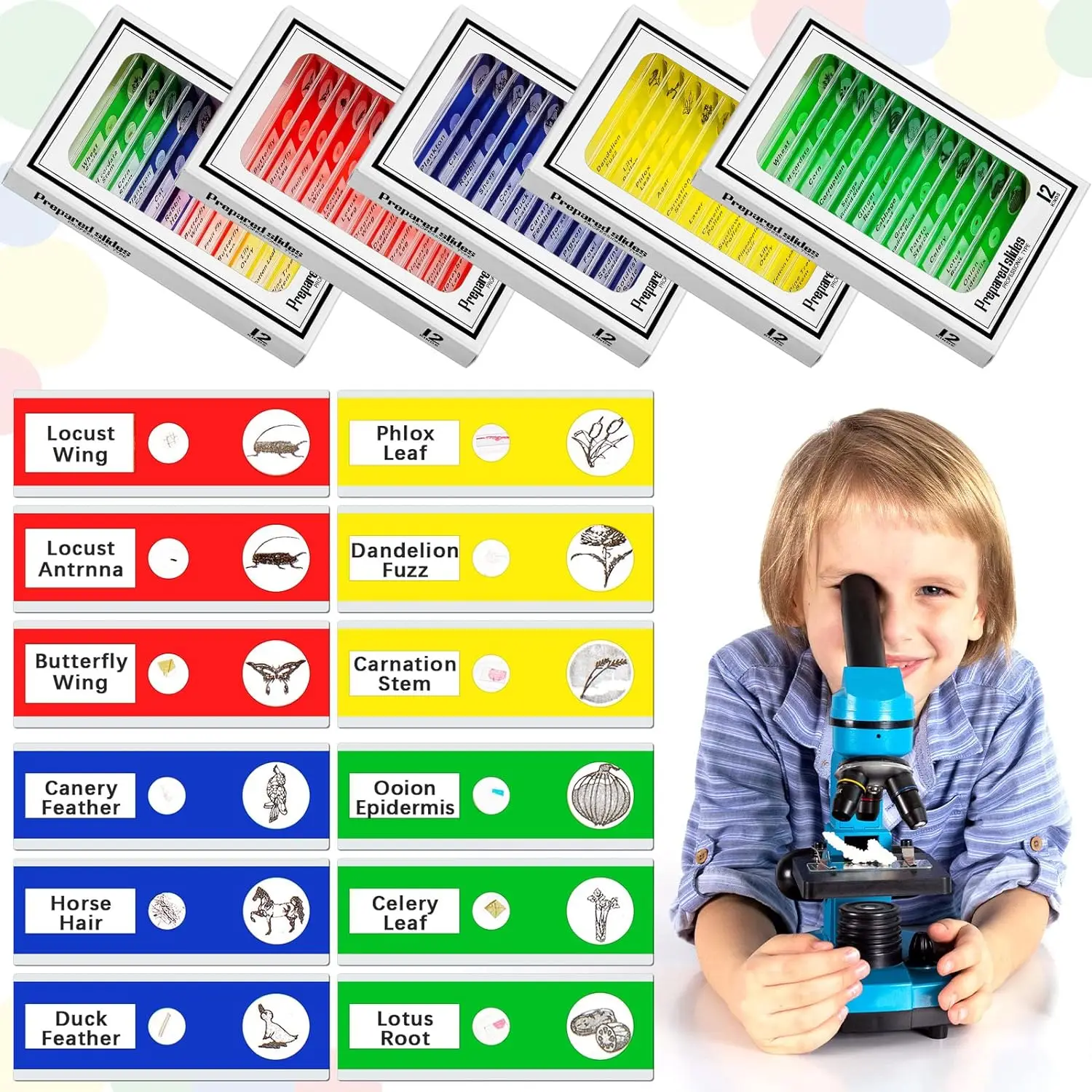 120 Pcs Kids Prepared Microscope Slides Animals Insects Plants Flowers Biological Specimens  For Student School Science 5