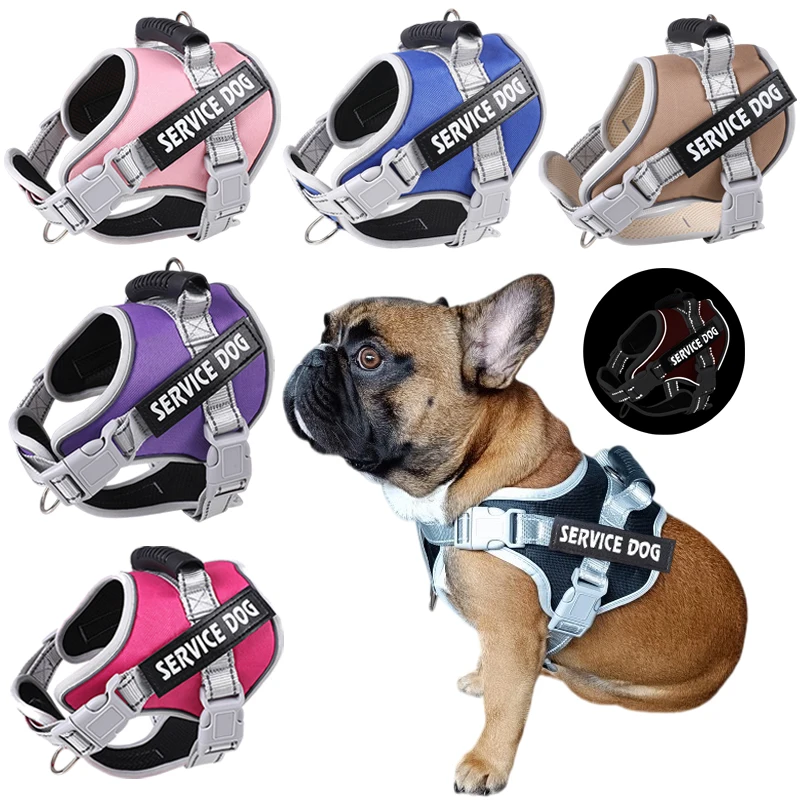 Pet Supplies Julius K9 Service Dog Harness Dog Harness Medium