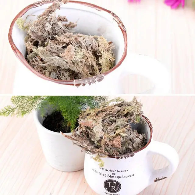 12L / 6L Sphagnum Száraz Moha Természetes Kert Szfhagnum Hidratáló Táplálkozás Organic Műtrágya Segítetlen Az Orchidea Növény - Image 3