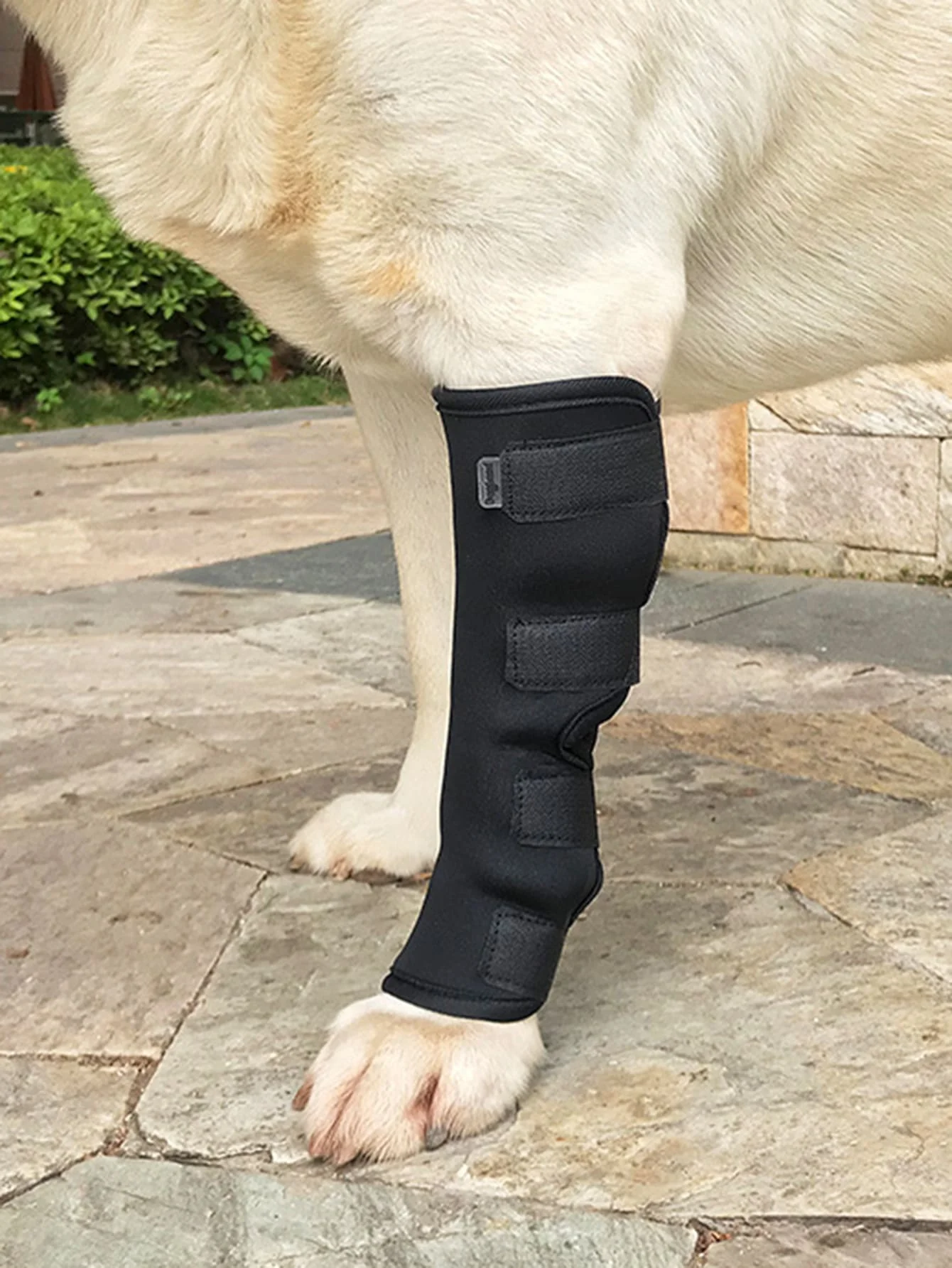 protective cover for pet leg injuries protection