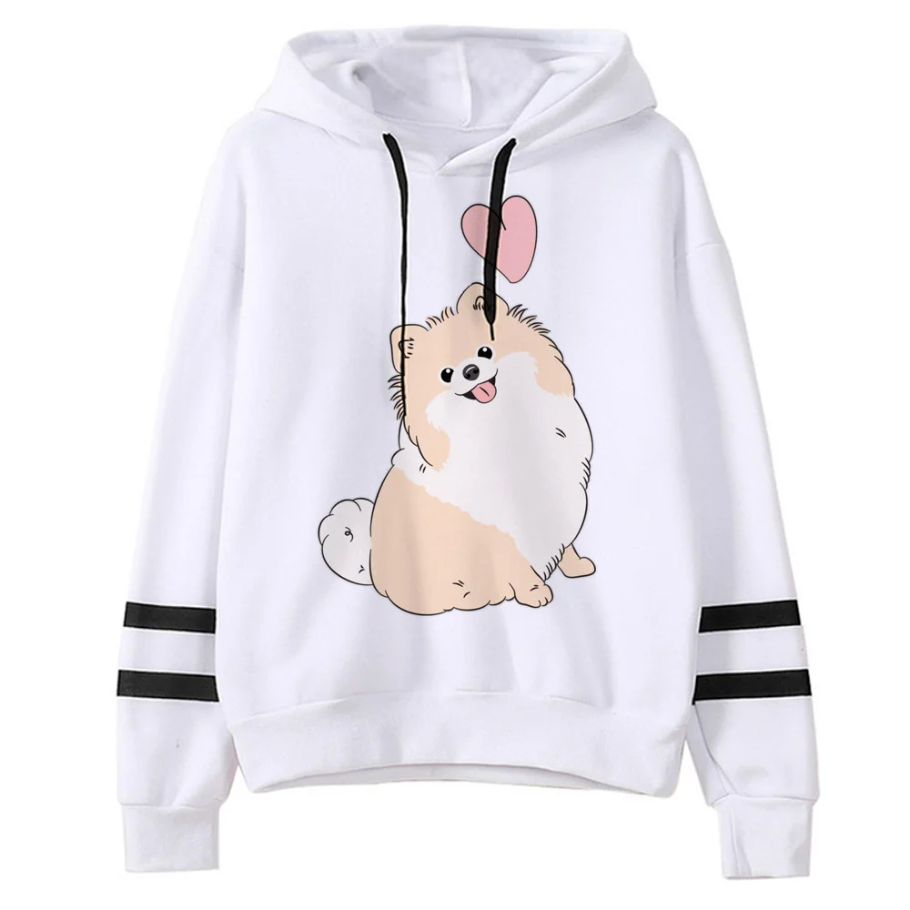 

Pomeranian hoodies women graphic y2k aesthetic streetwear anime hoddies women Kawaii sweater