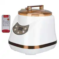 1000W 2L Sauna Steamer Pot Portable Multifunctional Spa Fumigation Machine for Body Detox Weight Loss Spa Steam Generator 2