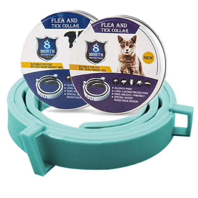 sky-blue-box-1pc