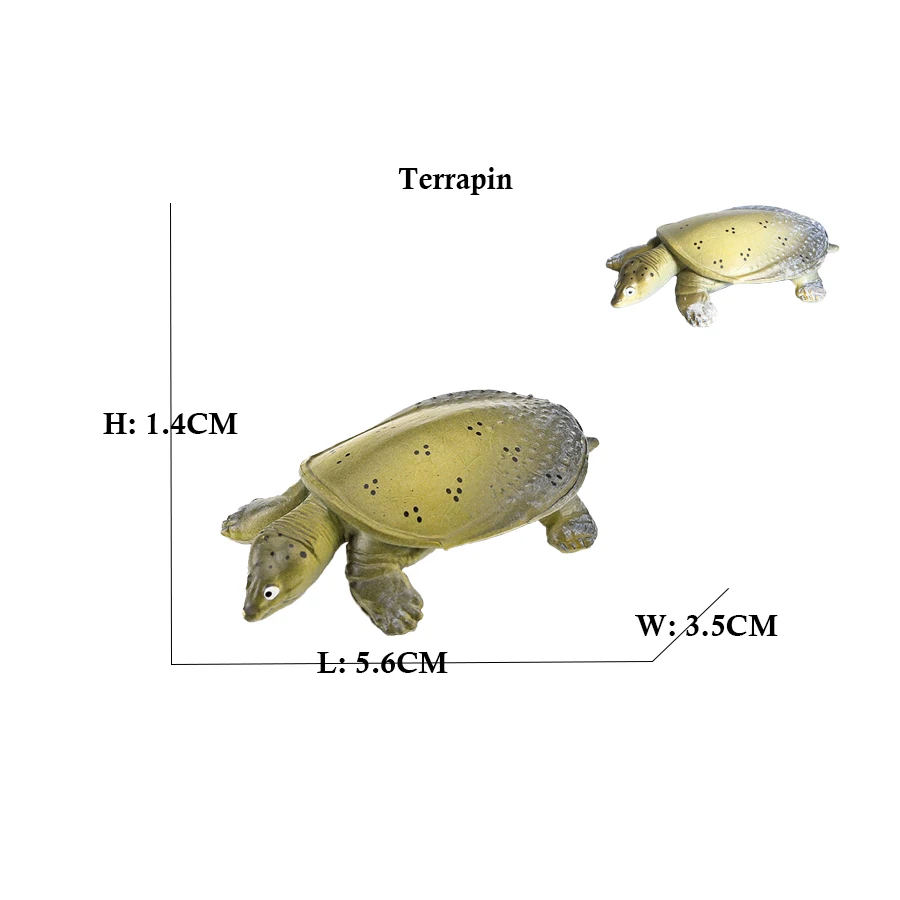Turtle and Tortoise Action Figure Playset - Sea and Marine Animal Toy Collection