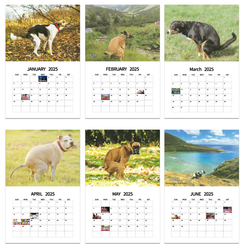 Wall Calendar 2025 Dogs Pooping Beautiful Places Funny Gag Gifts Holiday Christmas White Elephant Gifts