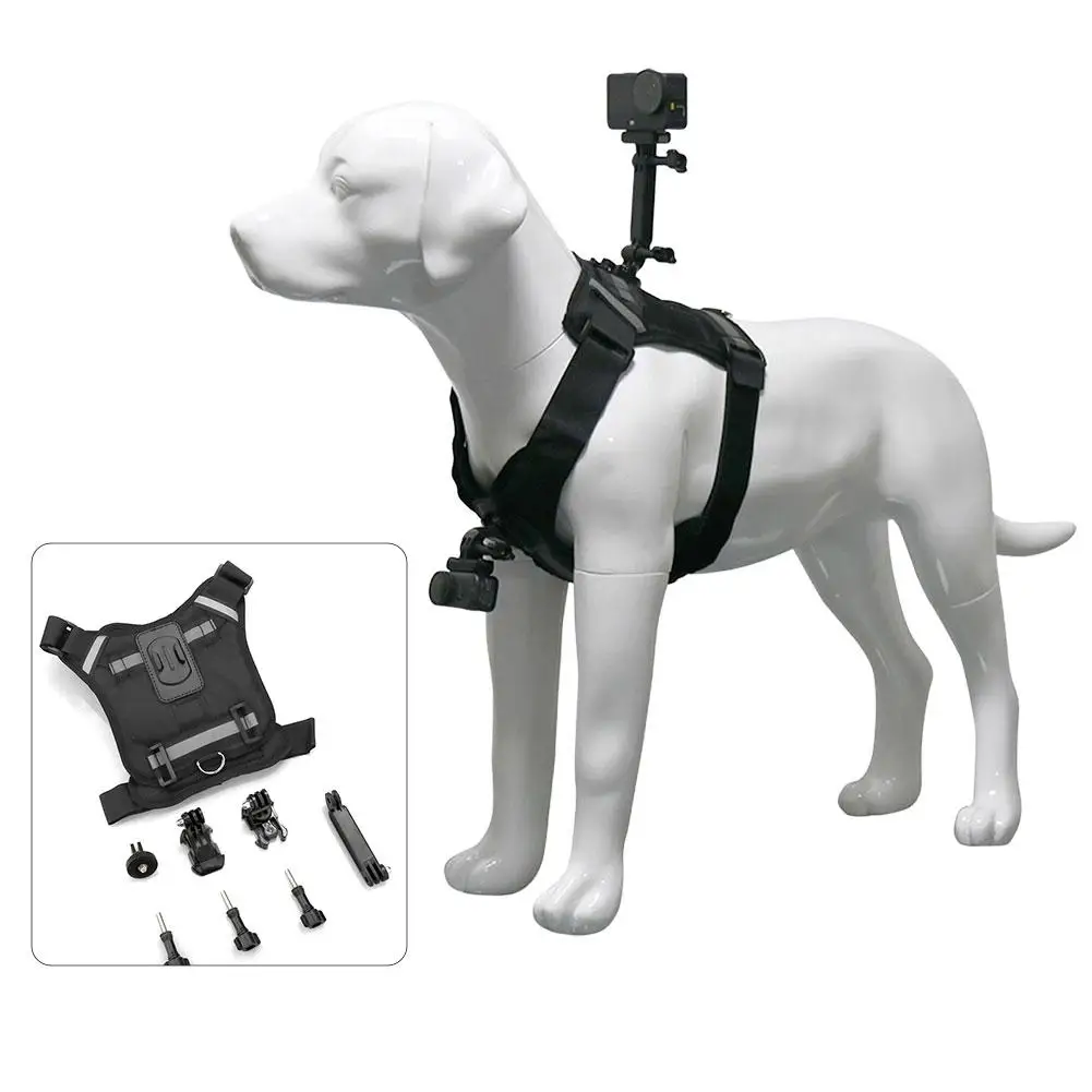 Harnais chien pour caméra action DJI Insta360 - Support poitrine dos