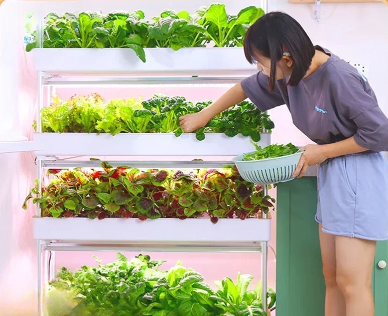 Intelligent planter indoor large soilless cultivation complete set of equipment vegetable strawberry planting box 2