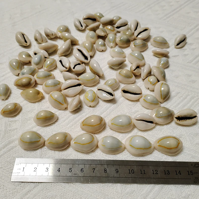 20 PCS Gold-ringer Cowrie 쉘 반지 탑 Cowrie 쉘 Monetaria Annulus 비즈 목걸이 및 팔찌, DIY 공예품