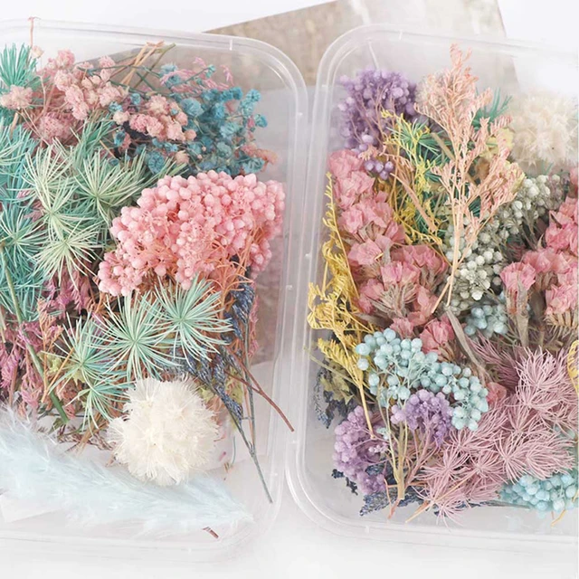 1 Box Artificial Plants Natural Real Dried Flowers for Candles Mold Epoxy  Resin DIY Making Decoration Home Accessories Crafts - AliExpress