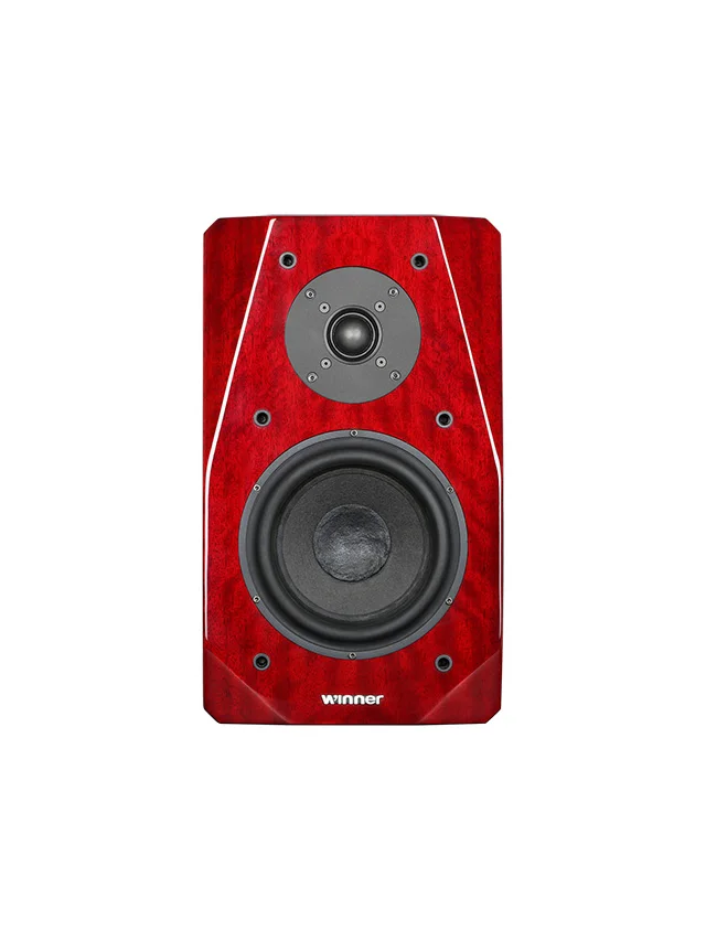 ODM/Manufacture Hi Fi System Speaker System Wooden Box Speaker Bookshelf Desktop Computer Wood Made