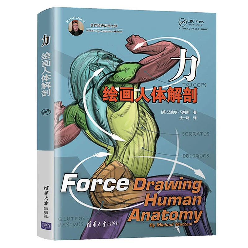 

Human Body Dissection Painting Art Books Human Structure Anatomy Guide Reference Book Character Body Proportions Muscle Skeleton