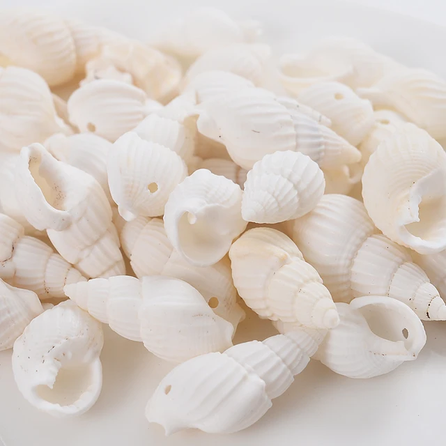 20g C