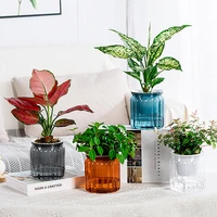 Tabletop Flower Pot Home Garden Bonsai Decor Succulent Hydroponic Plants Pot Self Watering Flowerpot Indoor Mini Planter Pots 2