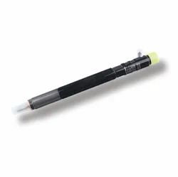 EJBR04701D EJBR03401D A6640170021 Fuel Injector Nozzle For Ssangyong Actyon Kyron Rexton EURO 3 Delphi