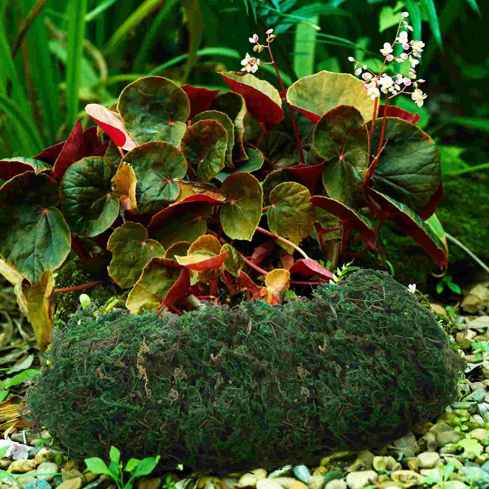 Slide image 61a53838db5b40b9be2a2e54875337d9