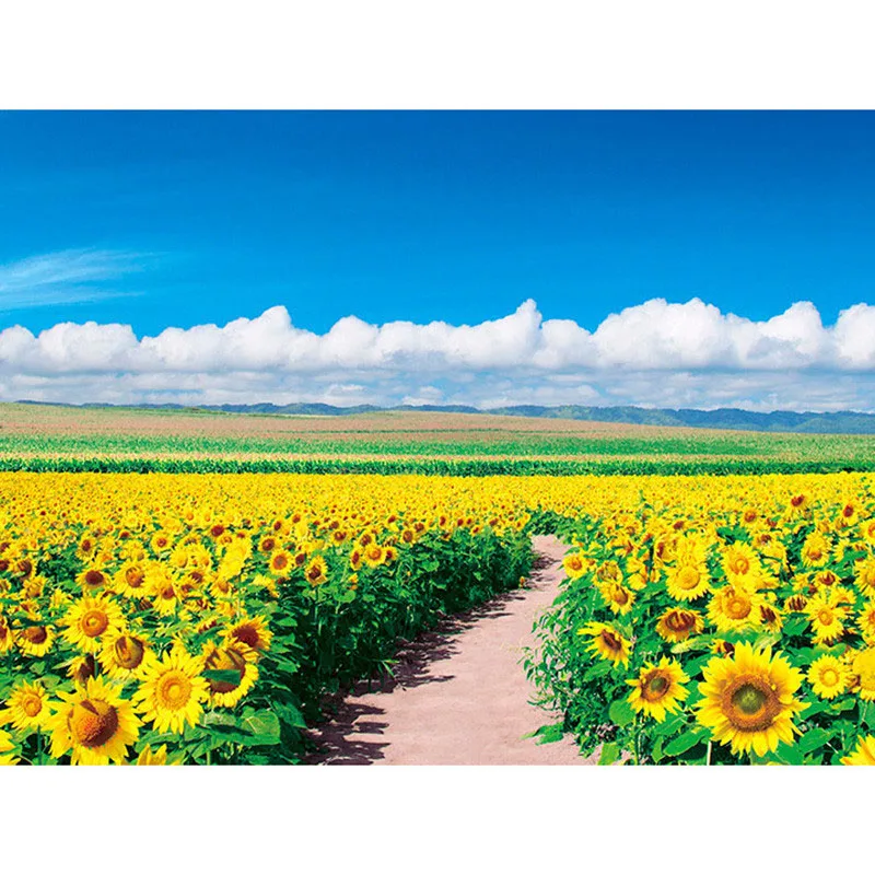 

Full Square drill 5D DIY Diamond embroidery Sunflower field Diamond Painting Cross Stitch Rhinestone Mosaic decoration