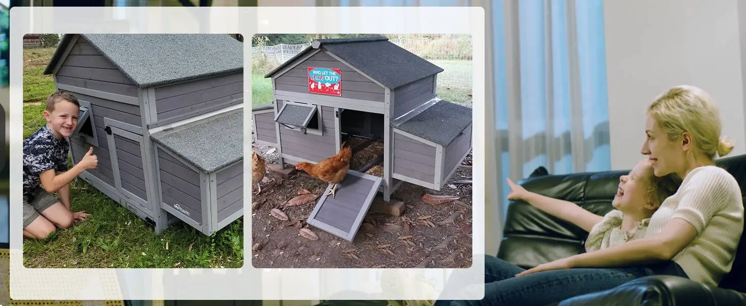 chicken coop
