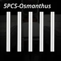 Osmanthus-5