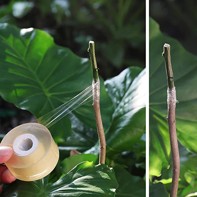 Roll tape graft budding Parafilm Pruning Pruner Plant fruit tree Nursery moisture barrier floristry Seedle Garden repair Strecth 6