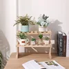 Multi layer solid wood small flower rack for office desktop, simple balcony, floor standing potted storage rack 3