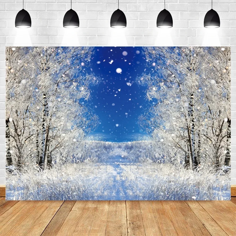 Winter Snow Natural Background 4