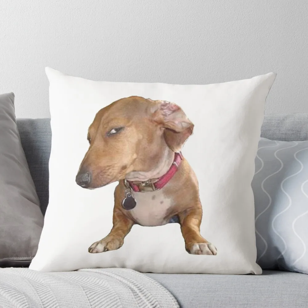 

Декоративная подушка для дома Sus dog meme 2024