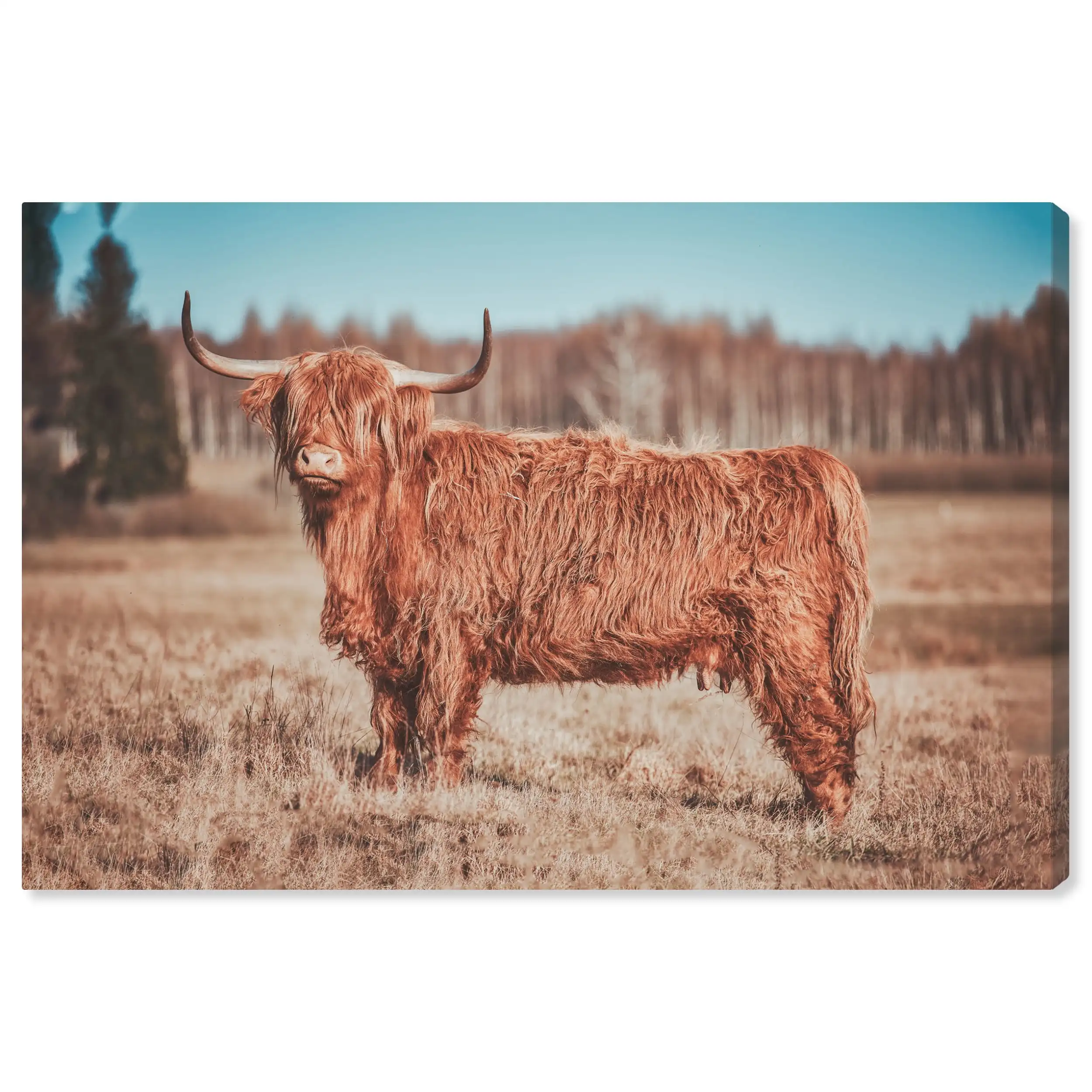 

Modern Farmhouse Cow Animals Wall Art Print Brown 36x24 Durable low-profil luxurious colorfast